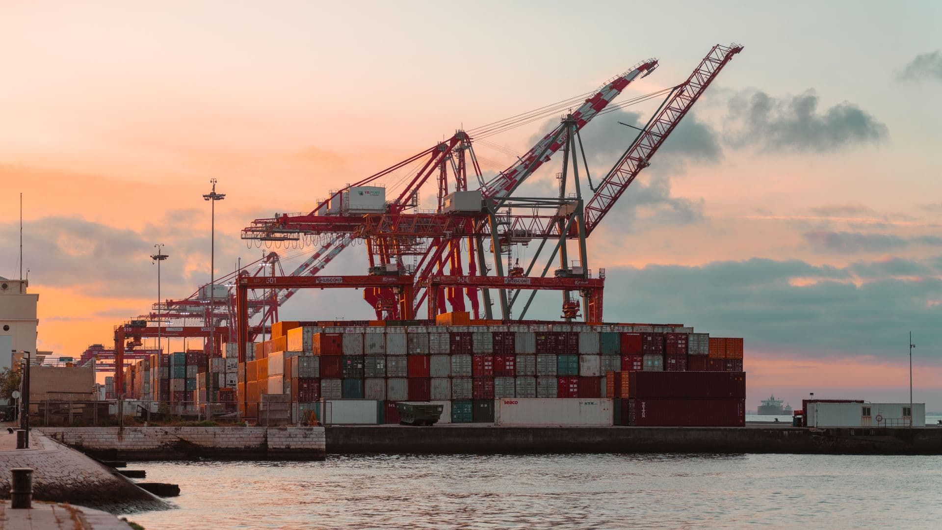 Shipping port cranes at a cargo terminal